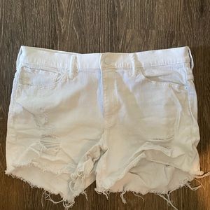 EXPRESS shorts